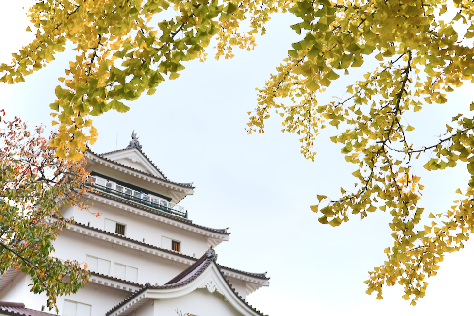 f:id:bibinbaleo:20201108094924p:plain f:id:bibinbaleo:20201108094924p:plain