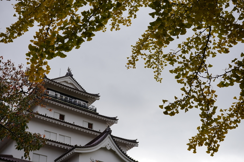 f:id:bibinbaleo:20201108095117j:plain f:id:bibinbaleo:20201108095117j:plain