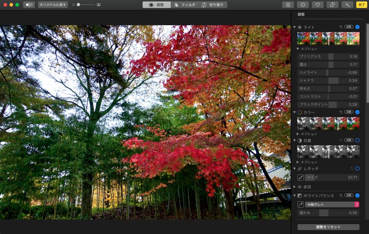 f:id:bibinbaleo:20201108100946p:plain f:id:bibinbaleo:20201108100946p:plain