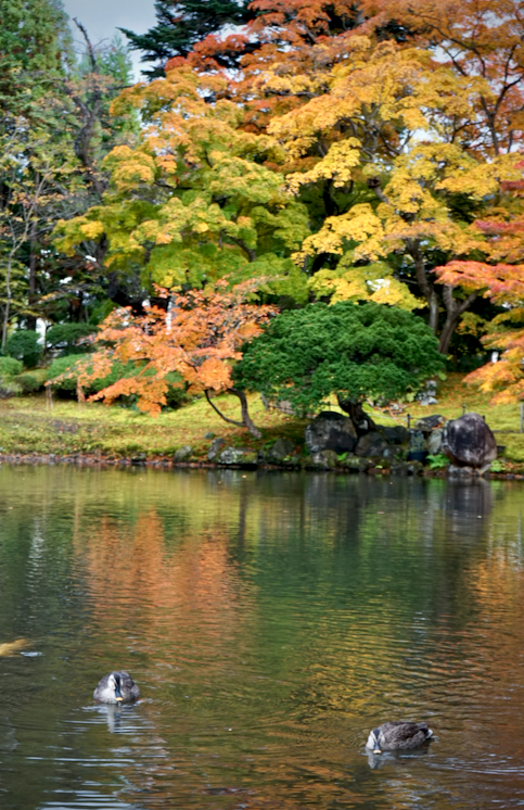 f:id:bibinbaleo:20201108103321p:plain f:id:bibinbaleo:20201108103321p:plain