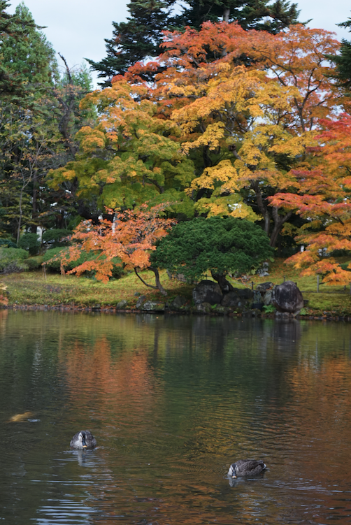 f:id:bibinbaleo:20201108103325p:plain f:id:bibinbaleo:20201108103325p:plain