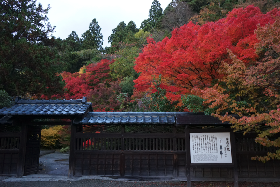 f:id:bibinbaleo:20201108103557p:plain f:id:bibinbaleo:20201108103557p:plain