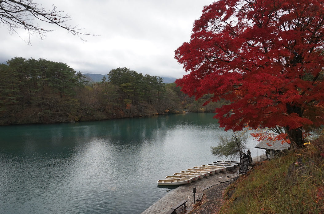 f:id:bibinbaleo:20201108105320p:plain f:id:bibinbaleo:20201108105320p:plain