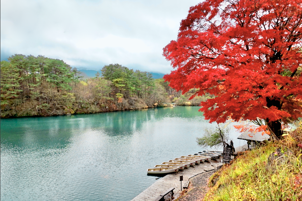 f:id:bibinbaleo:20201108105323p:plain f:id:bibinbaleo:20201108105323p:plain