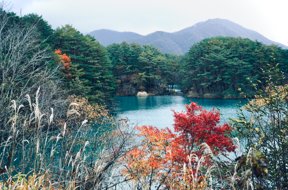 f:id:bibinbaleo:20201108105745p:plain f:id:bibinbaleo:20201108105745p:plain