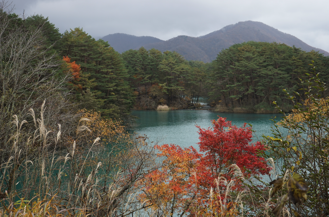 f:id:bibinbaleo:20201108105751p:plain f:id:bibinbaleo:20201108105751p:plain