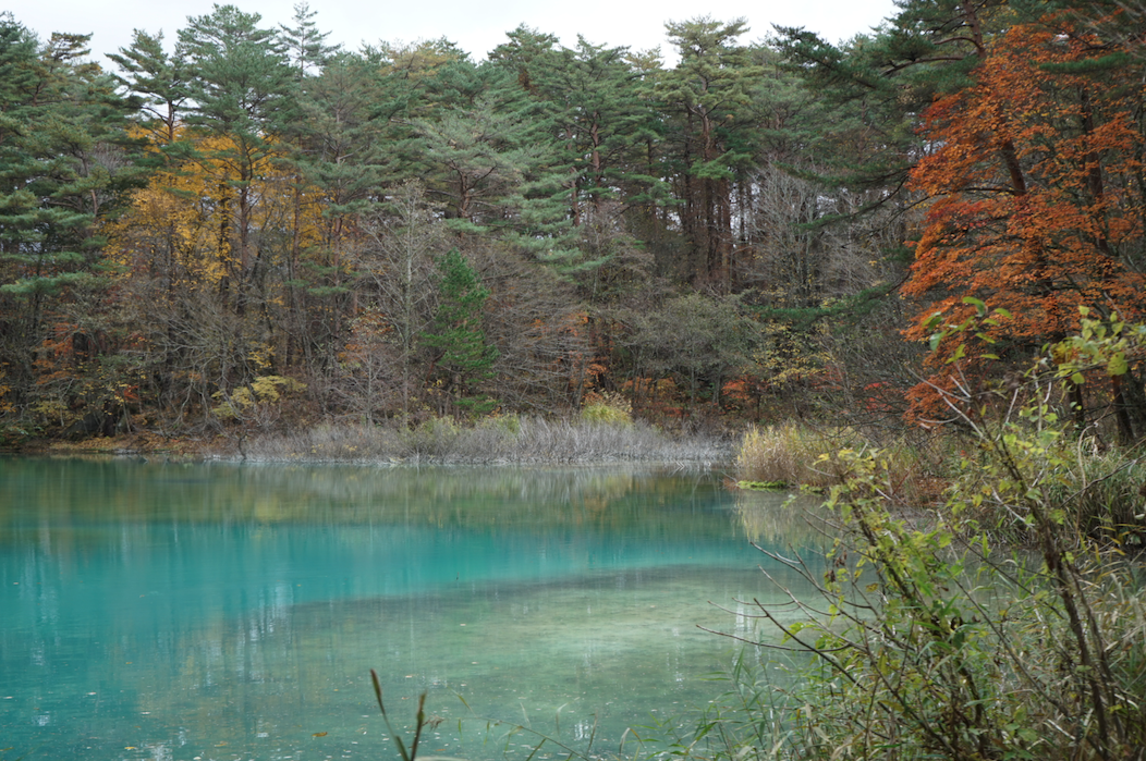 f:id:bibinbaleo:20201108110249p:plain f:id:bibinbaleo:20201108110249p:plain