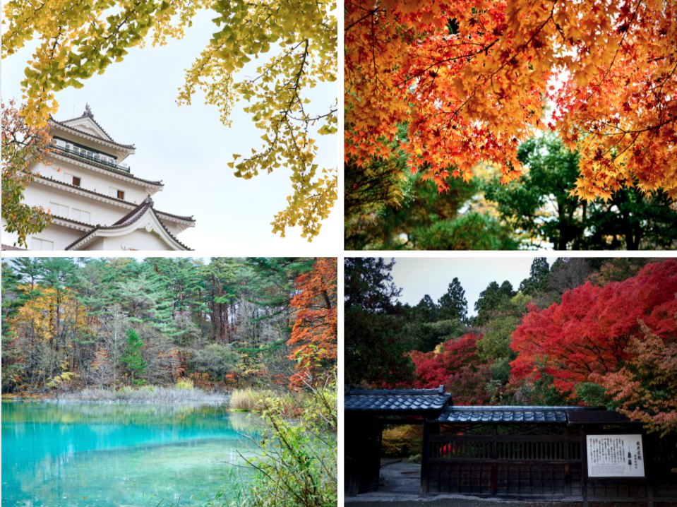 f:id:bibinbaleo:20201108111809p:plain f:id:bibinbaleo:20201108111809p:plain