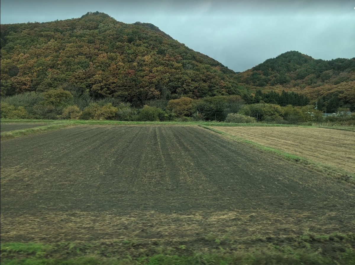 f:id:bibinbaleo:20201108113041p:plain f:id:bibinbaleo:20201108113041p:plain