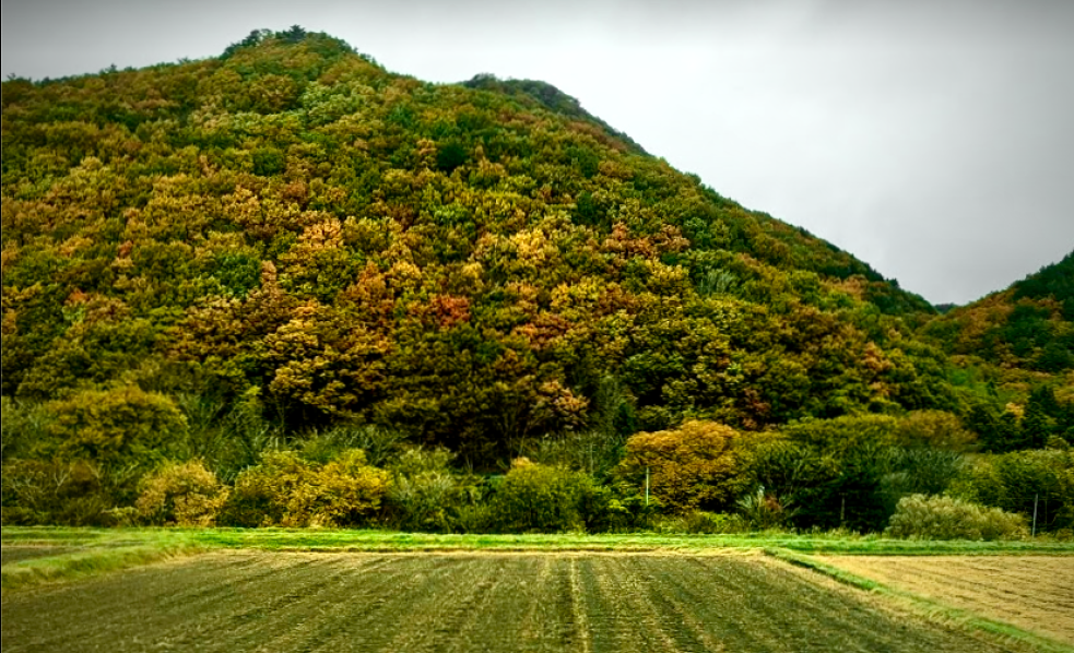 f:id:bibinbaleo:20201108113050p:plain f:id:bibinbaleo:20201108113050p:plain