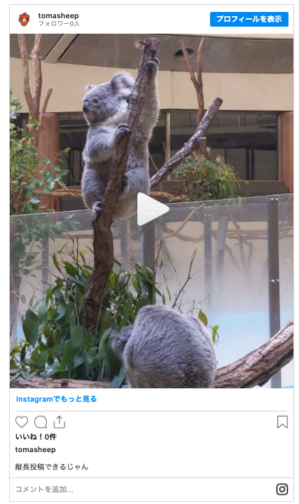 f:id:bibinbaleo:20201108215547p:plain