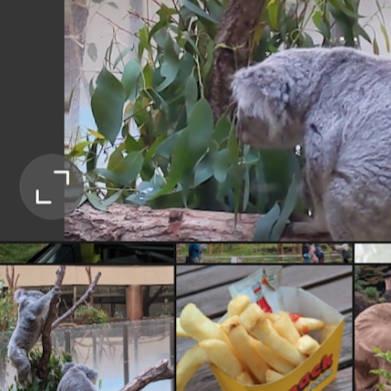 f:id:bibinbaleo:20201108215833p:plain