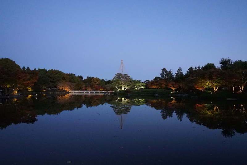 f:id:bibinbaleo:20201114222151j:plain f:id:bibinbaleo:20201114222151j:plain