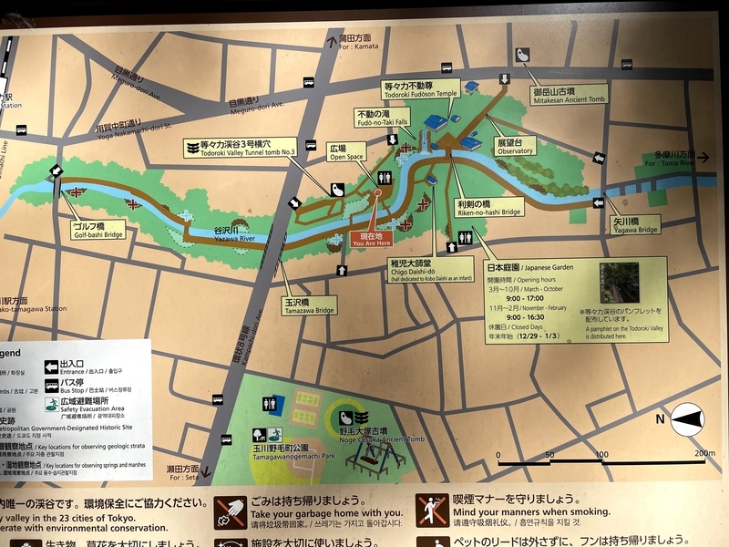 f:id:bibinbaleo:20201122132225j:plain