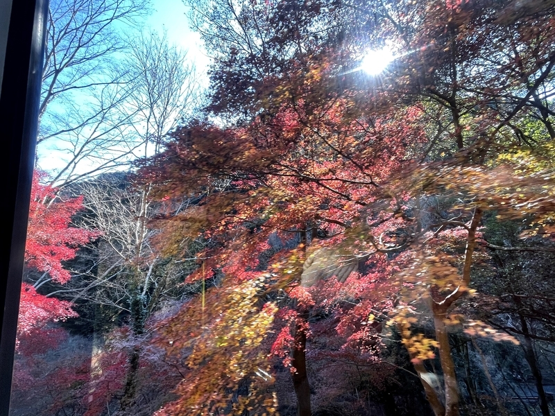 f:id:bibinbaleo:20201206215533j:plain