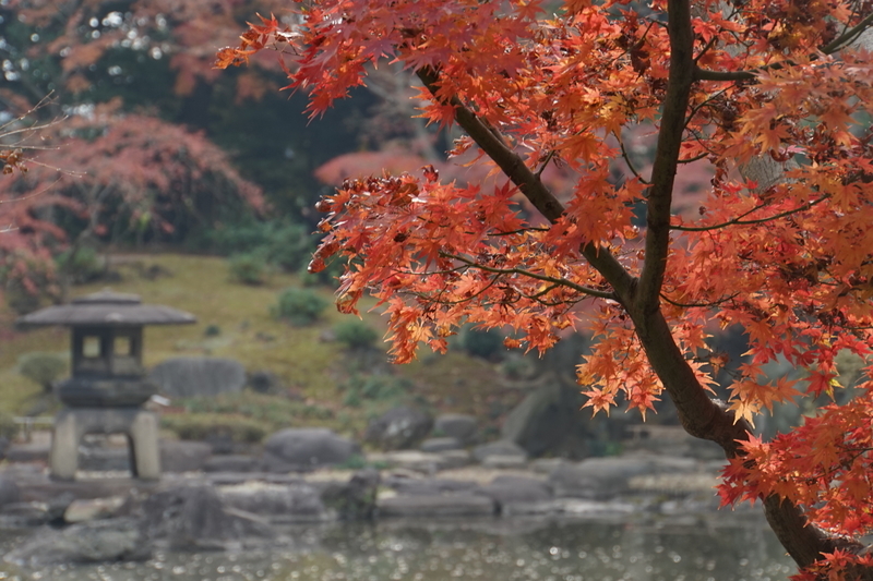 f:id:bibinbaleo:20201212215831j:plain