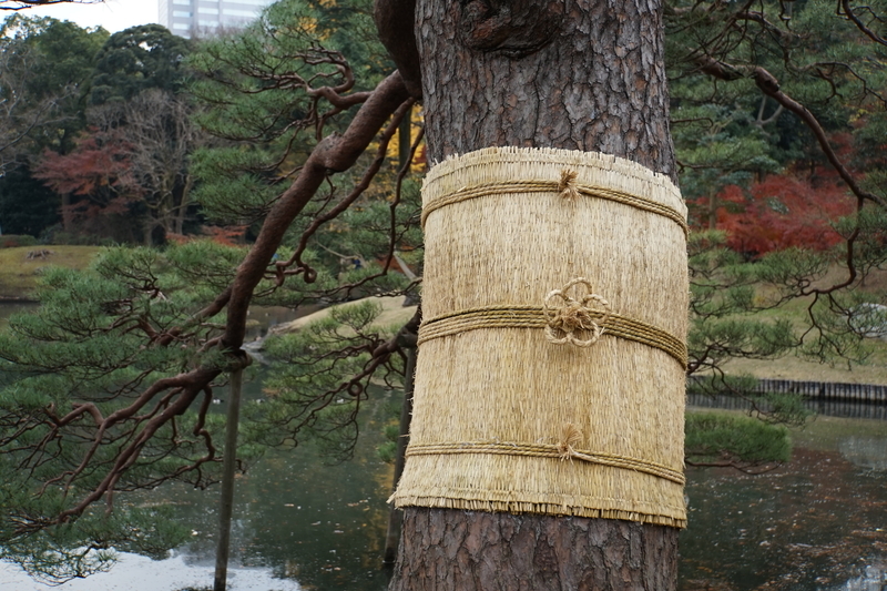 f:id:bibinbaleo:20201212220341j:plain