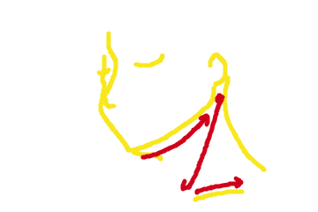 f:id:bibinbaleo:20210107222005p:plain