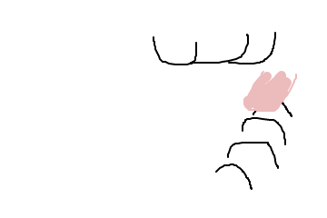 f:id:bibinbaleo:20210225073845p:plain