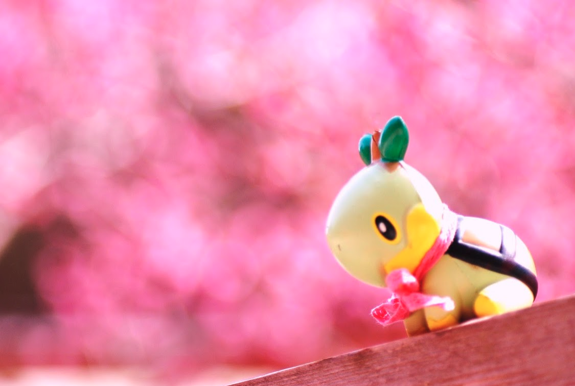 f:id:bibinbaleo:20210227100917p:plain