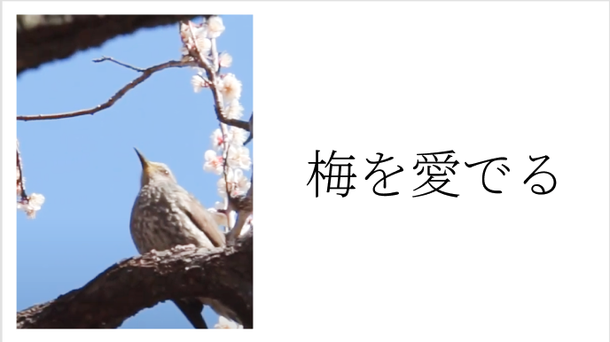 f:id:bibinbaleo:20210329201302p:plain