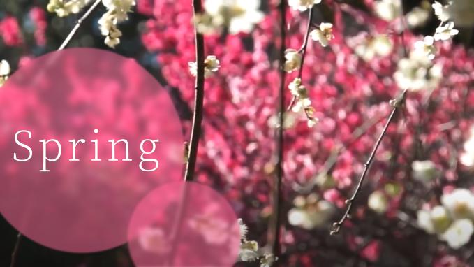 f:id:bibinbaleo:20210329203723p:plain