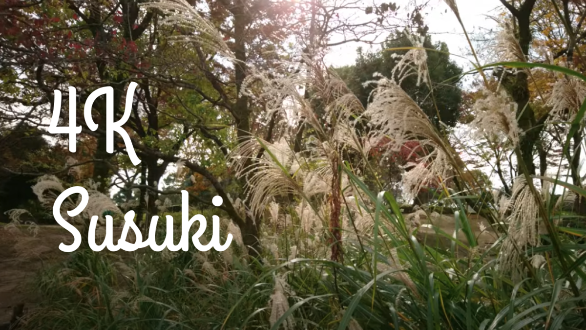 f:id:bibinbaleo:20210401213719p:plain