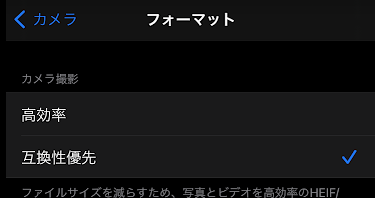 f:id:bibinbaleo:20210506221643p:plain