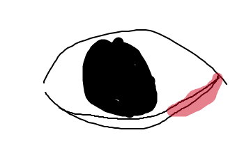 f:id:bibinbaleo:20210617073358p:plain