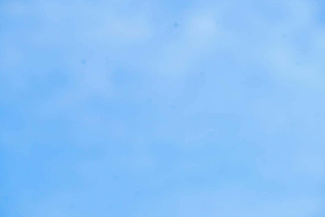 f:id:bibinbaleo:20210723165344p:plain