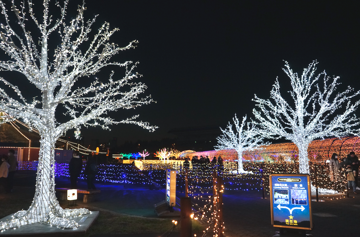 f:id:bibinbaleo:20211205105432p:plain