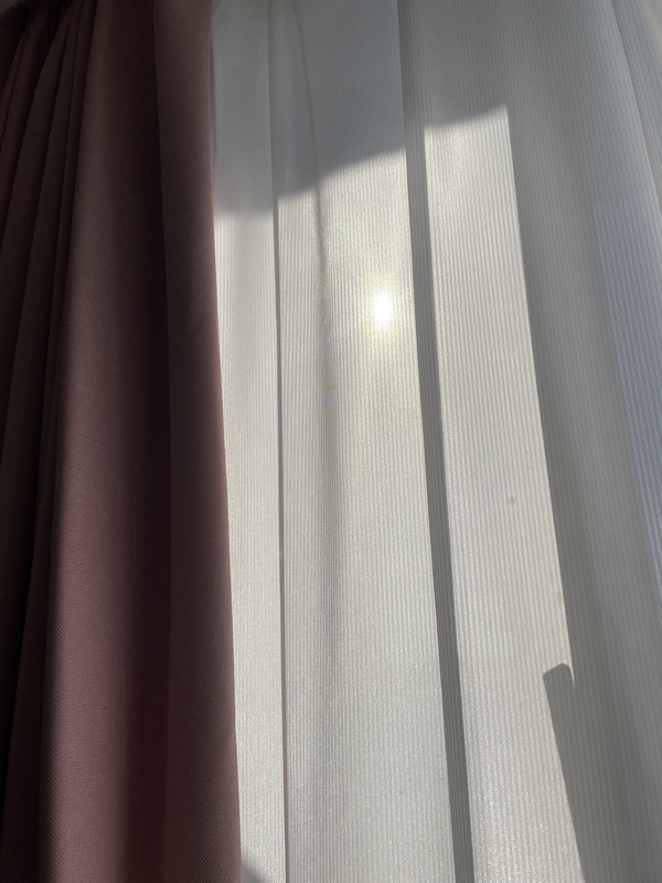 f:id:bibinbaleo:20220109224006j:plain