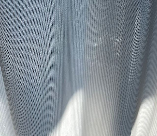 f:id:bibinbaleo:20220112213008p:plain