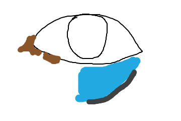 f:id:bibinbaleo:20220211175444p:plain