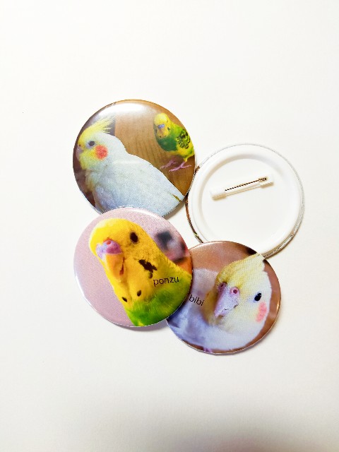 f:id:bibiponzu:20220122131744j:image