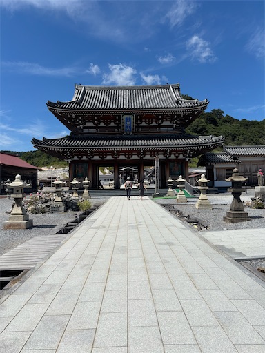 f:id:bibriogreen:20250825081703j:image