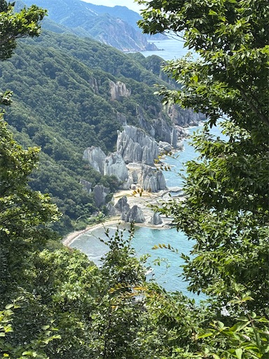 f:id:bibriogreen:20250828220943j:image