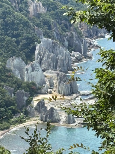 f:id:bibriogreen:20250828220953j:image