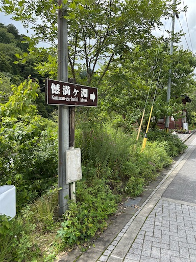 f:id:bibriogreen:20250916213137j:image