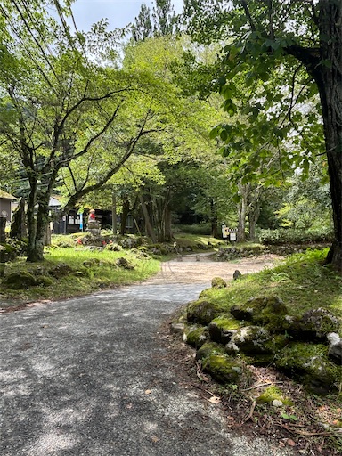 f:id:bibriogreen:20250916213305j:image