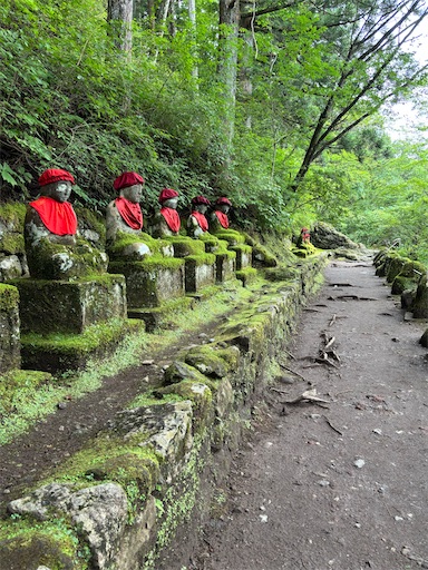 f:id:bibriogreen:20250916213640j:image
