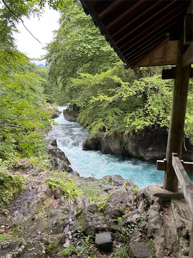 f:id:bibriogreen:20250916214220j:image