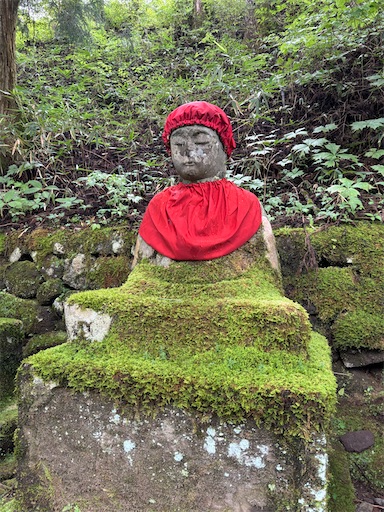 f:id:bibriogreen:20250916215611j:image