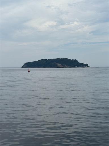 f:id:bibriogreen:20250918132024j:image