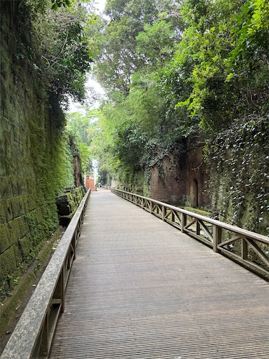 f:id:bibriogreen:20250918133344j:image