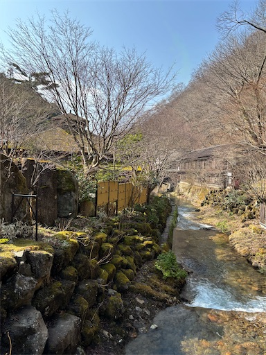 f:id:bibriogreen:20260331063623j:image