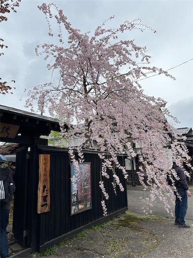 f:id:bibriogreen:20260424215055j:image