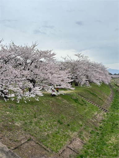 f:id:bibriogreen:20260424215752j:image