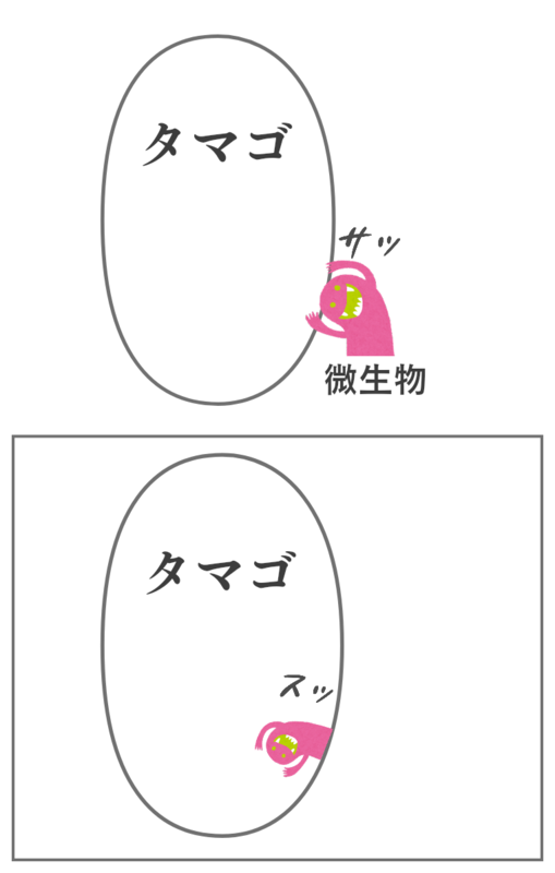 卵白のリゾチームについて
