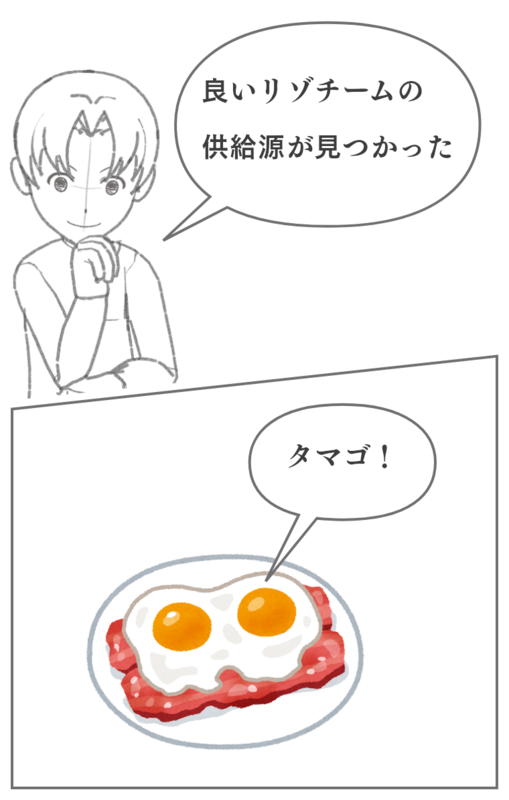 卵白のリゾチームについて